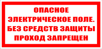 S13 опасное электрическое поле. без средств защиты проход запрещен (пленка, 200х100 мм) - Знаки безопасности - Знаки по электробезопасности - Магазин охраны труда и техники безопасности stroiplakat.ru